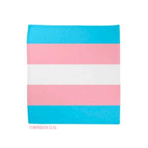 Pañoleta Bandera Trans