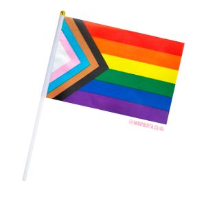 Banderita Progreso 2018
