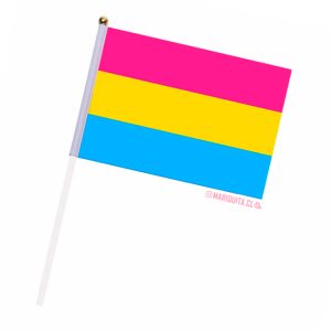 Banderita Pansexual