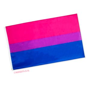 Bandera Bisexual