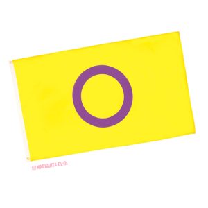 Bandera Intersexual