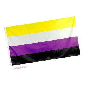 Bandera No Binarie