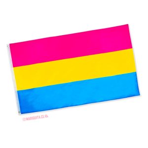 Bandera Pansexual