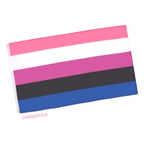 Bandera Género Fluido