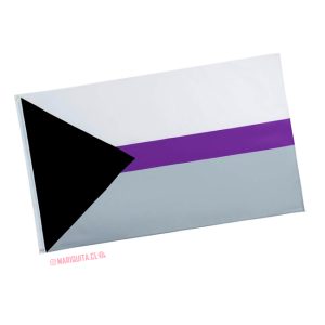 Bandera Demisexual