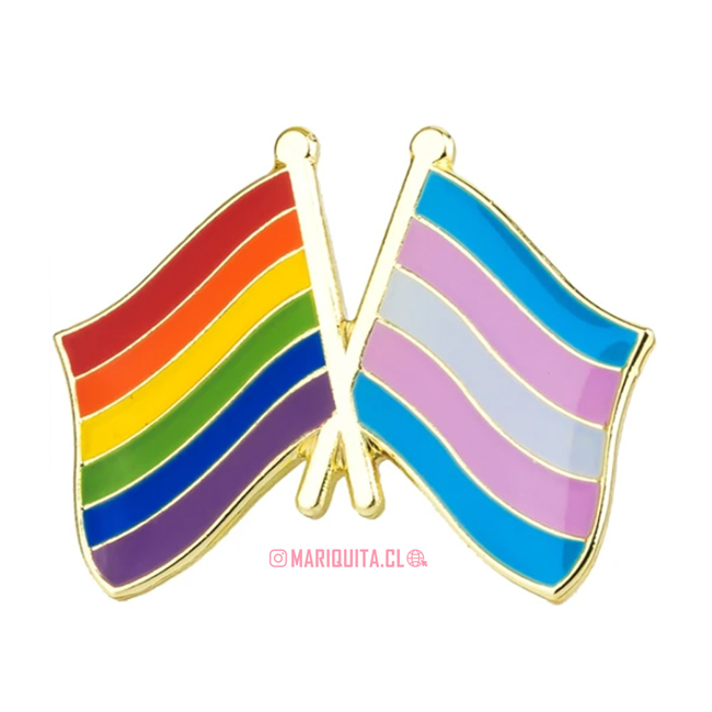 Pin Bandera Trans y LGBTIQA+