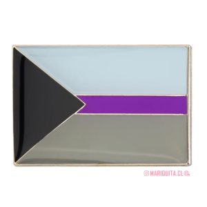 Pin Bandera Demisexual